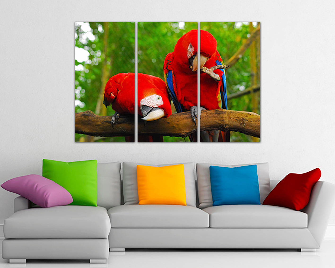 Macaw print wall art canvas Parrot print Cockatoo bird animal decor