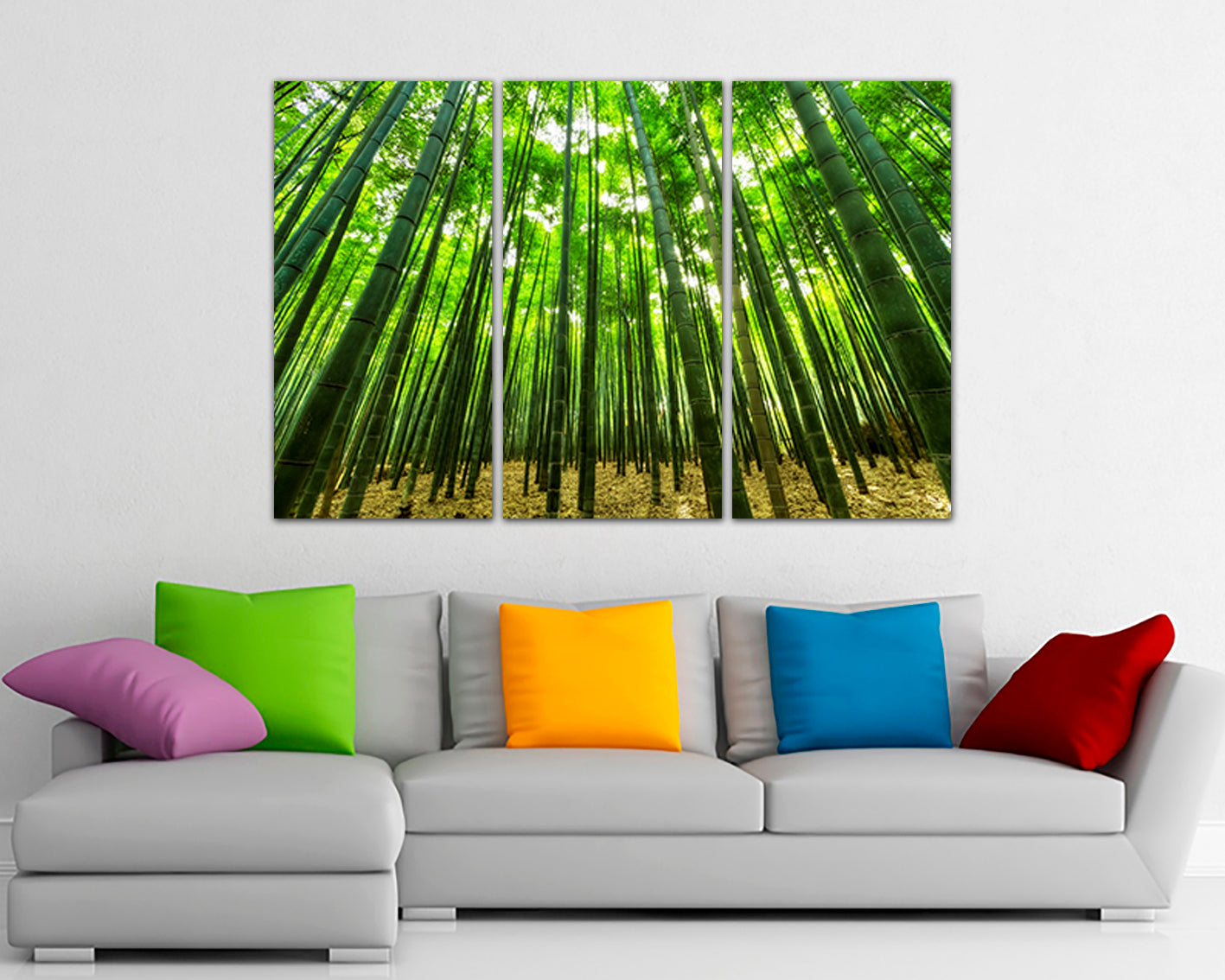 Bamboo forest in trees canvas Landscape wall art Nature photo Ready to hang