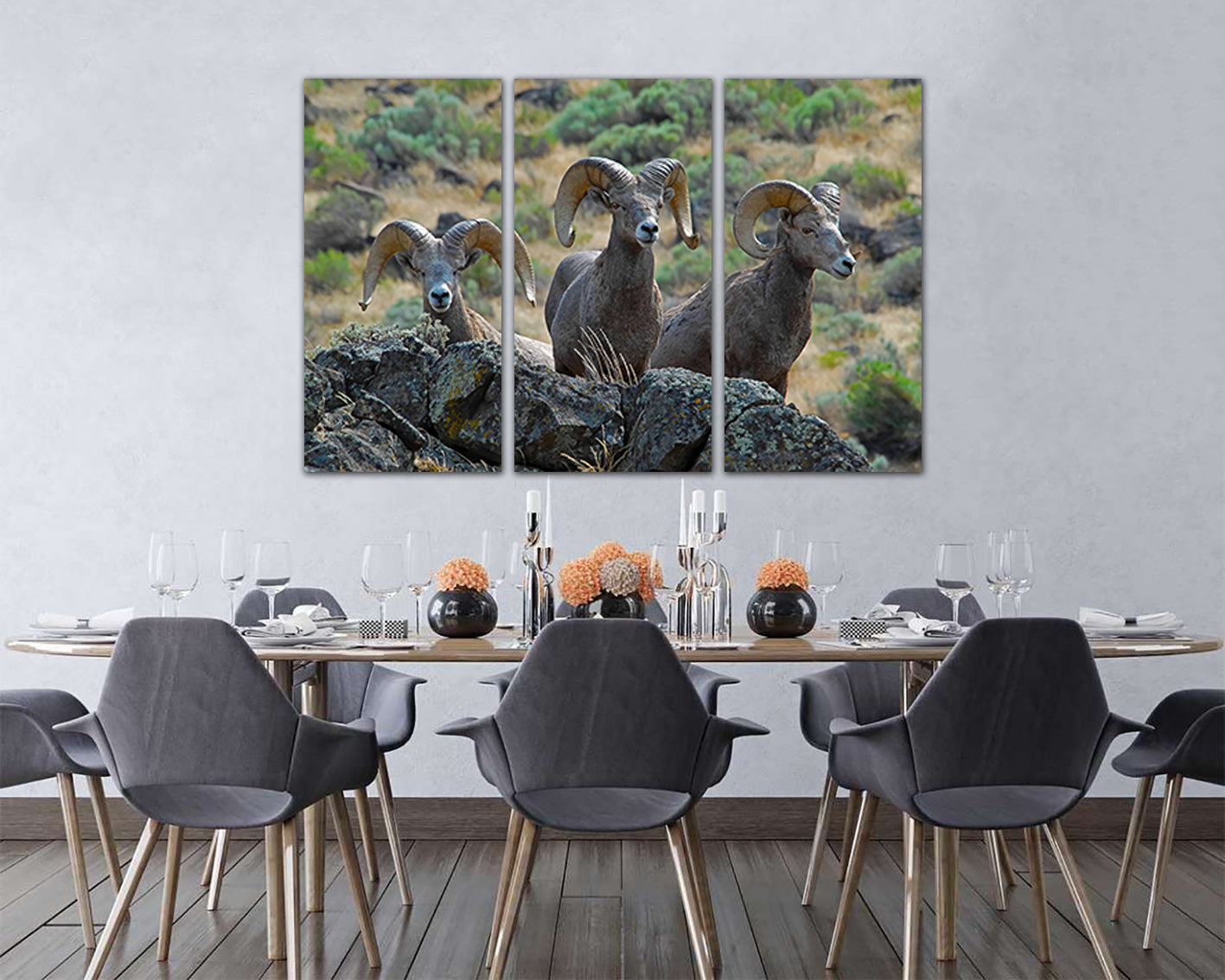 Bighorn sheep Animal decor canvas set Oregon print Mountain goat