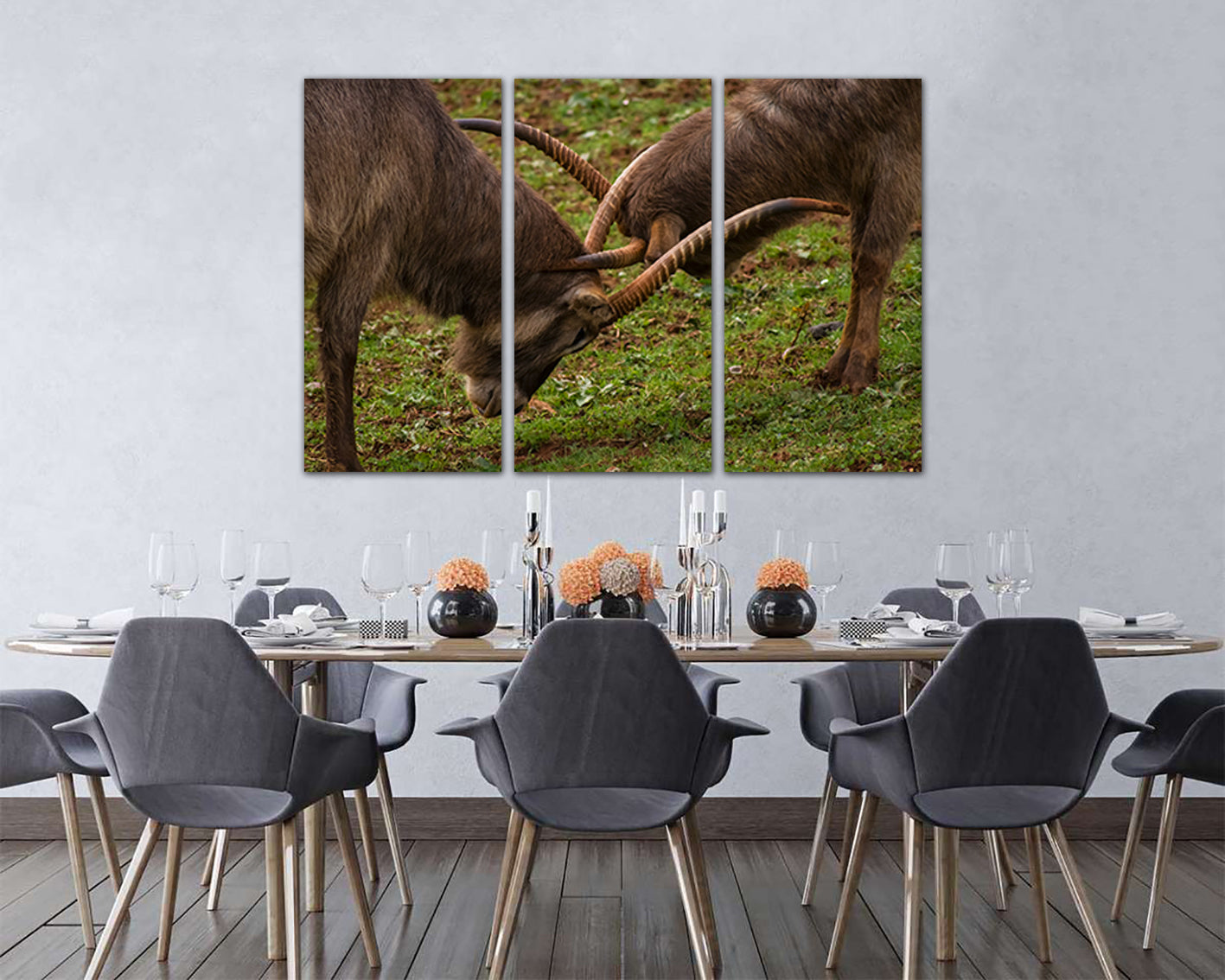Wild goat art print Mountain goat canvas Animal decor Animal battle Goats art Goats wall decor Goat poster Wild life art Goat photo