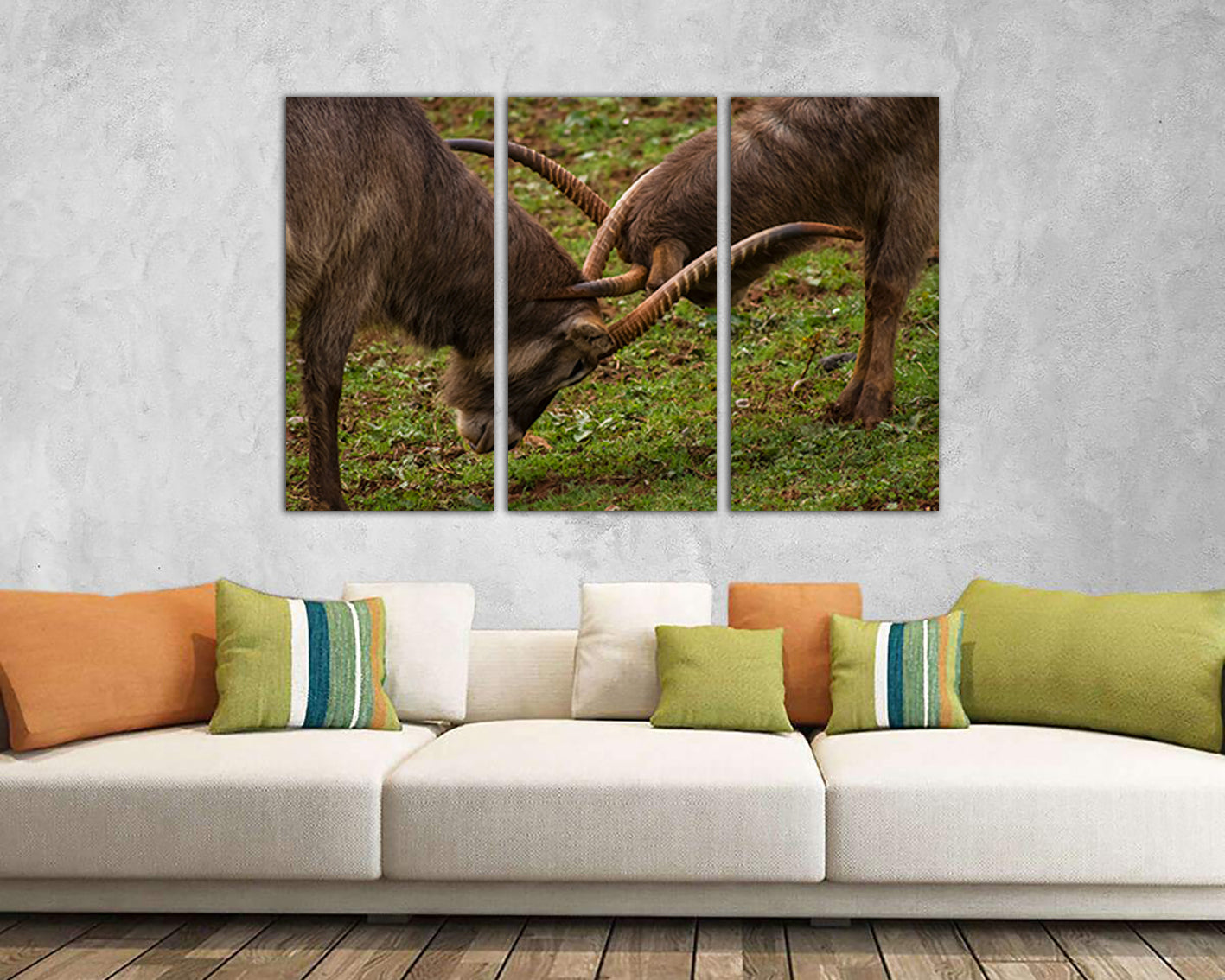 Wild goat art print Mountain goat canvas Animal decor Animal battle Goats art Goats wall decor Goat poster Wild life art Goat photo