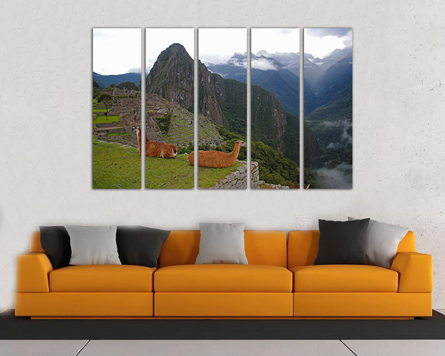 Print on canvas Lama wall decor Animals photo Llama art gift Ready to hang