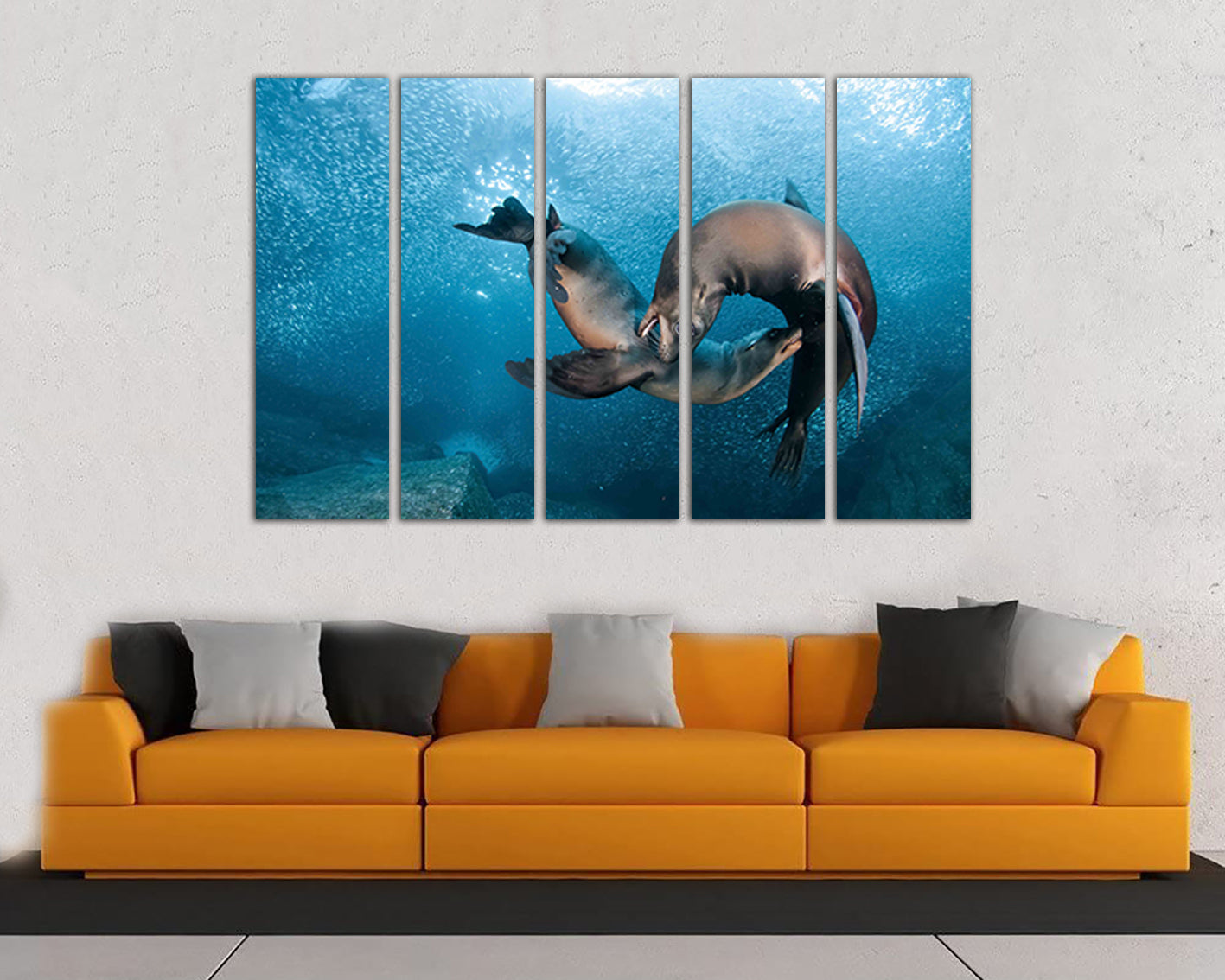 Wall art canvas Lions sea print Marine life décor Animals sea lion Wildlife photography