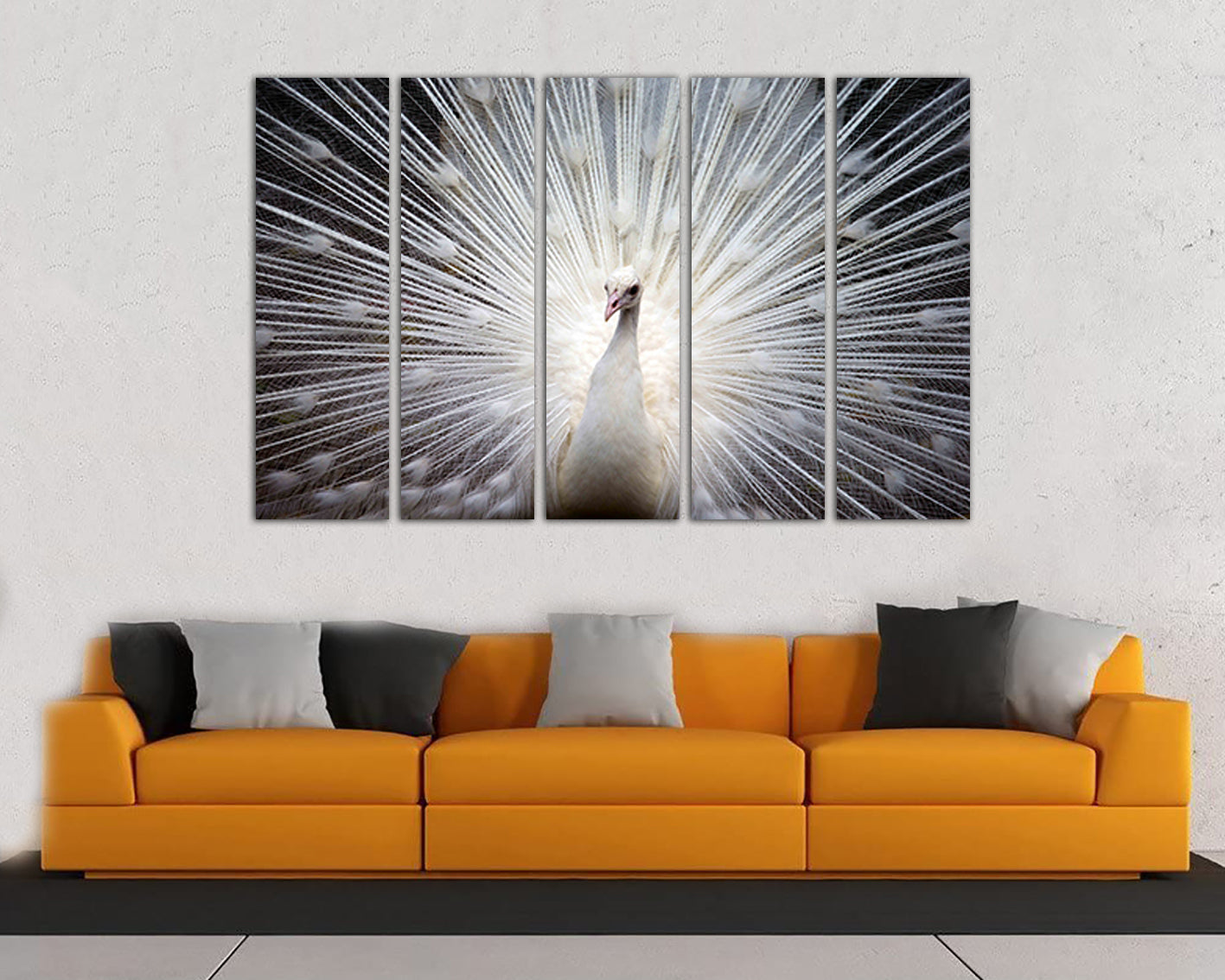 Wall canvas set White Peacock print Animal decor Feather Peacock décor Gift nursery art