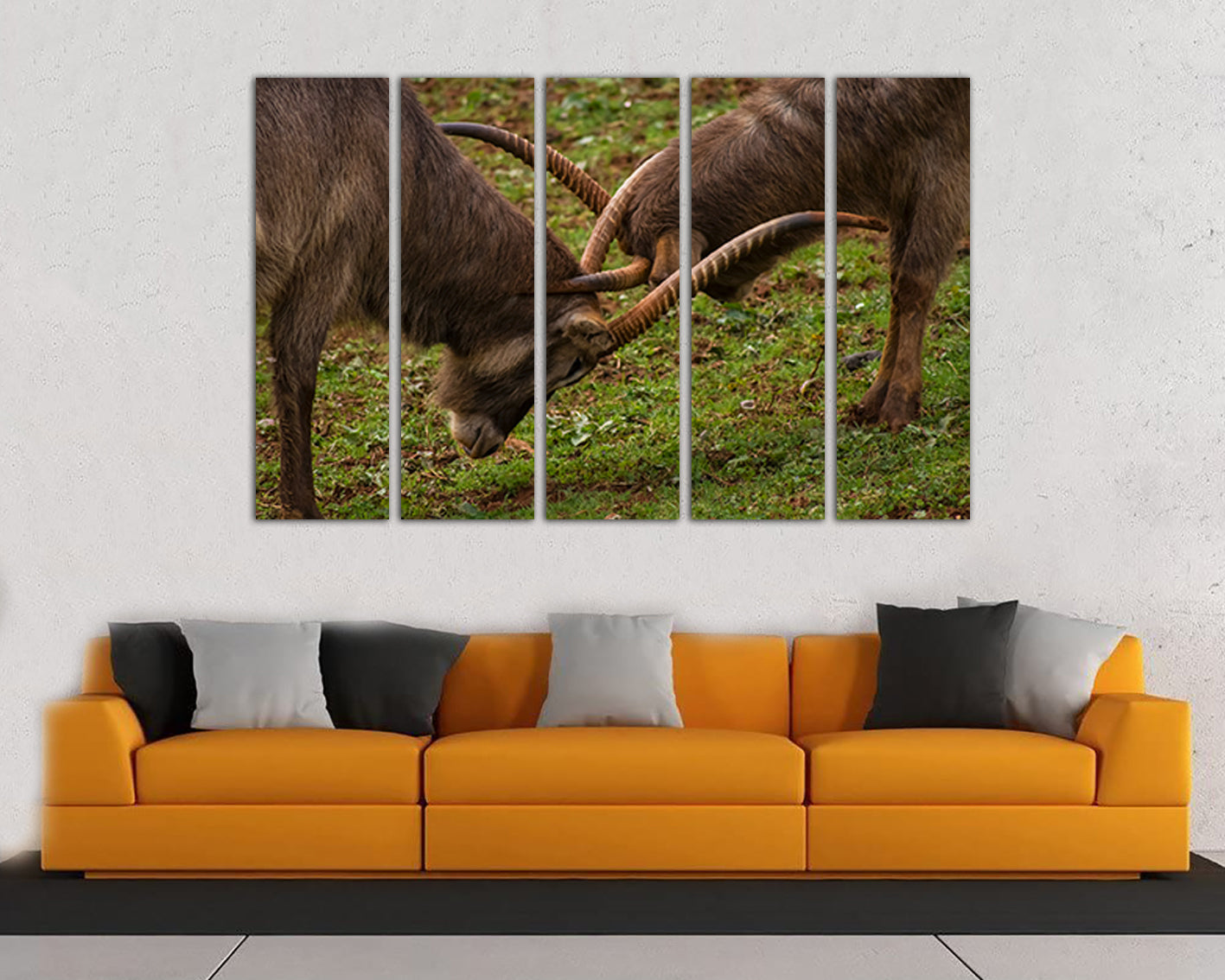 Wild goat art print Mountain goat canvas Animal decor Animal battle Goats art Goats wall decor Goat poster Wild life art Goat photo