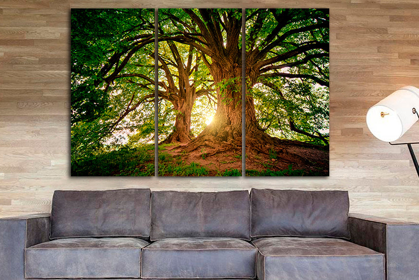 Old tree canvas Forest wall décor Nature art Green home print Majestic tree Lights of sun Landscape decor
