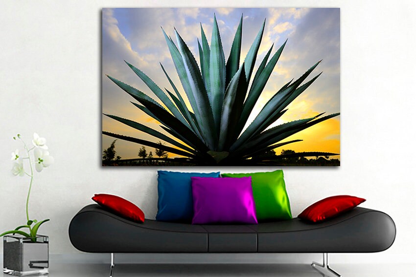 Blue agave wall art Floral print decor Cactus canvas Flowers Mexico photo Ready to hang