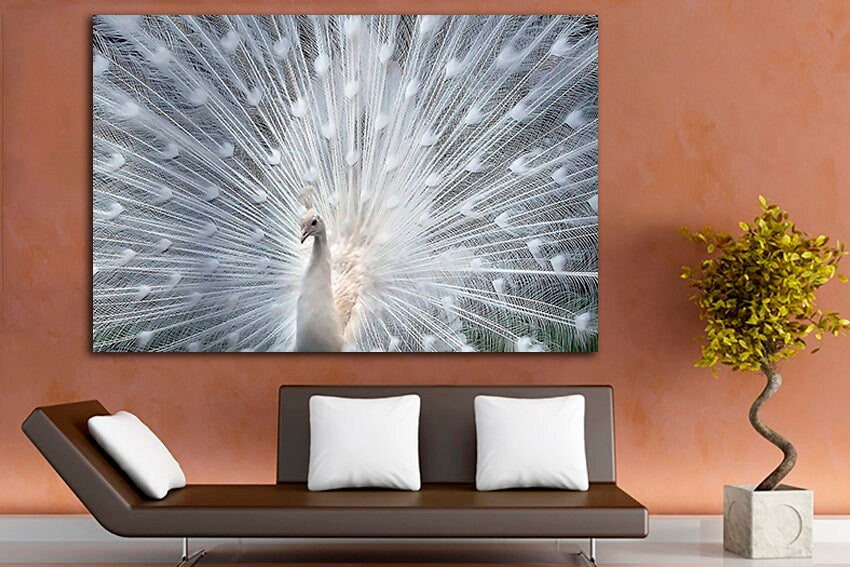 Peafowl white Print on canvas Peacock print Birds wall art Animals decor