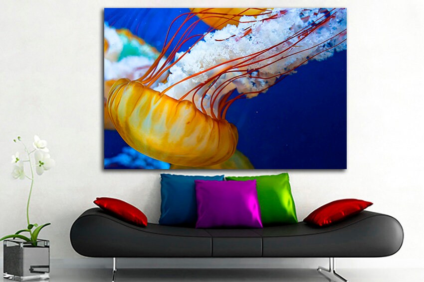 Jellyfish print Animals decor Jellies art Ocean canvas Fish sea photo