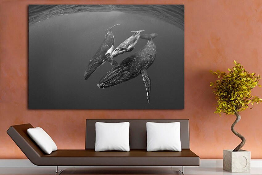 Humpback whales Wildlife print room decor Nature wall decor Wild life art