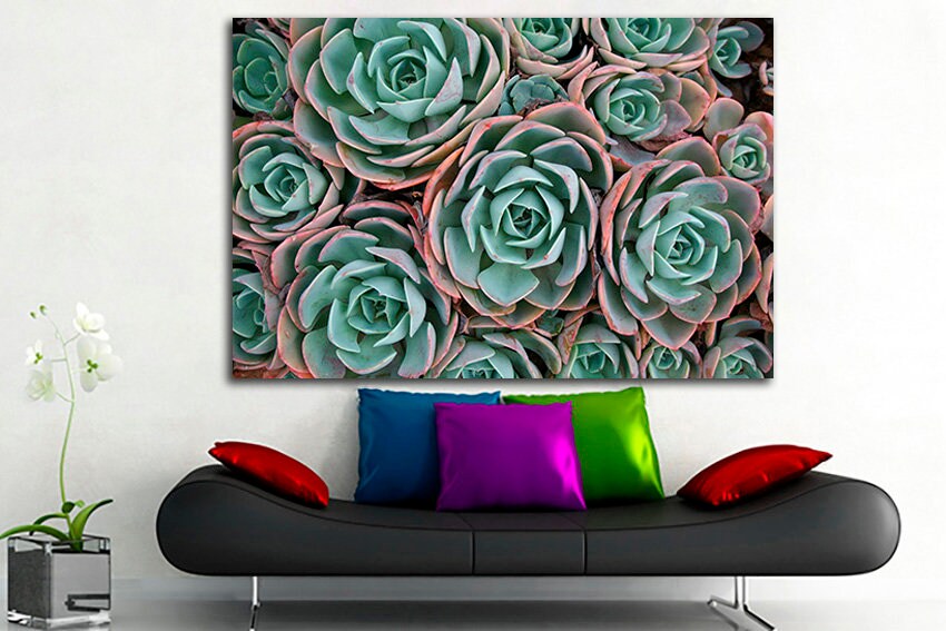 Succulent canvas set Flower wall print Gift for florist