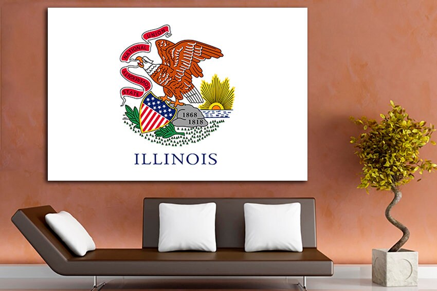 Illinois state Canvas flag Illinois flag art Illinois flag poster Illinois flag canvas Illinois flag print Art decor National flag Painting