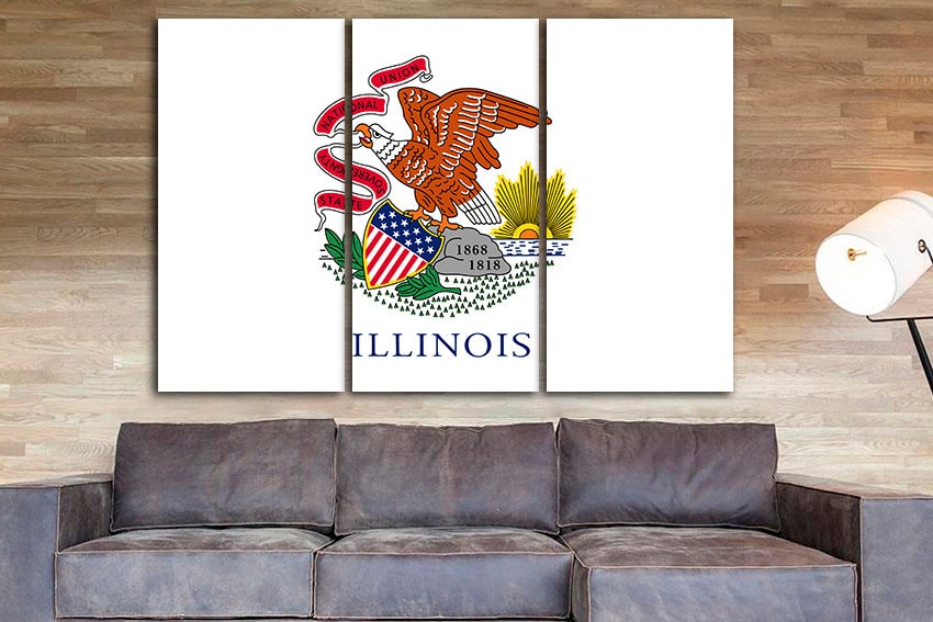 Illinois state Canvas flag Illinois flag art Illinois flag poster Illinois flag canvas Illinois flag print Art decor National flag Painting