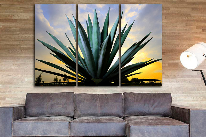 Blue agave wall art Floral print decor Cactus canvas Flowers Mexico photo Ready to hang