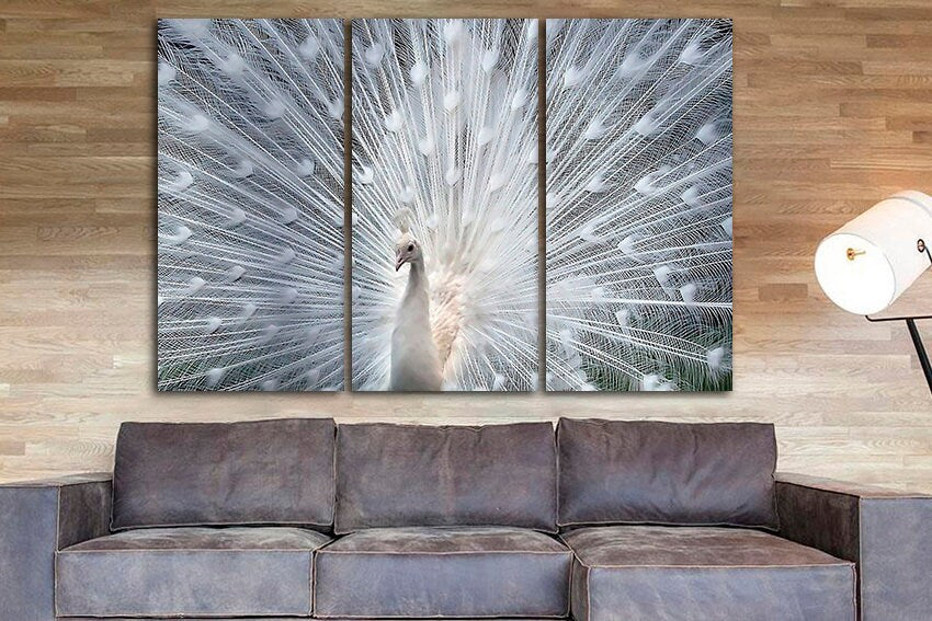 Peafowl white Print on canvas Peacock print Birds wall art Animals decor