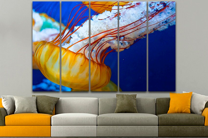 Jellyfish print Animals decor Jellies art Ocean canvas Fish sea photo