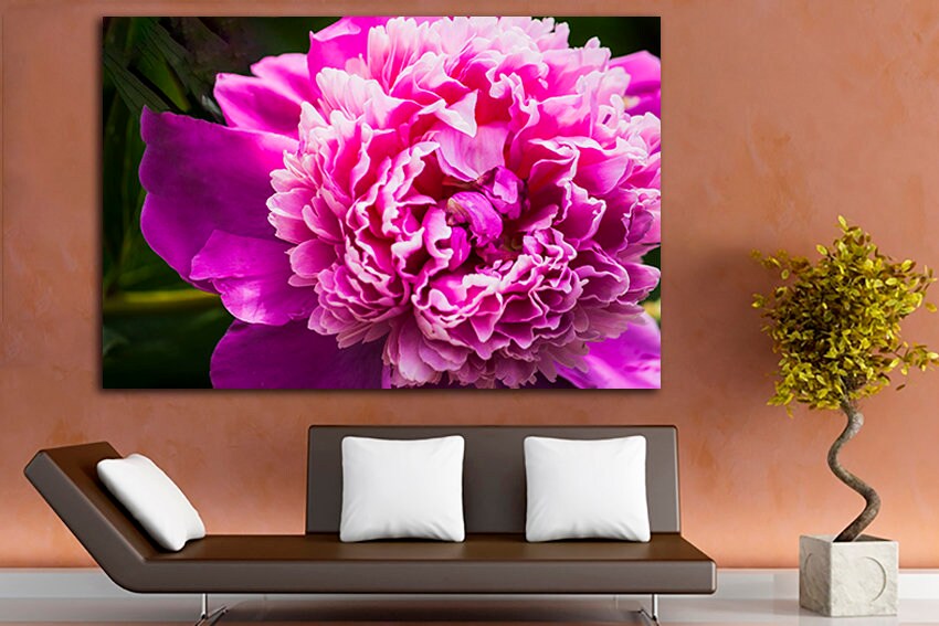 Peony print decor Flowers canvas Botanical wall art Gift for her Blush pink photo