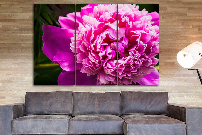 Peony print decor Flowers canvas Botanical wall art Gift for her Blush pink photo