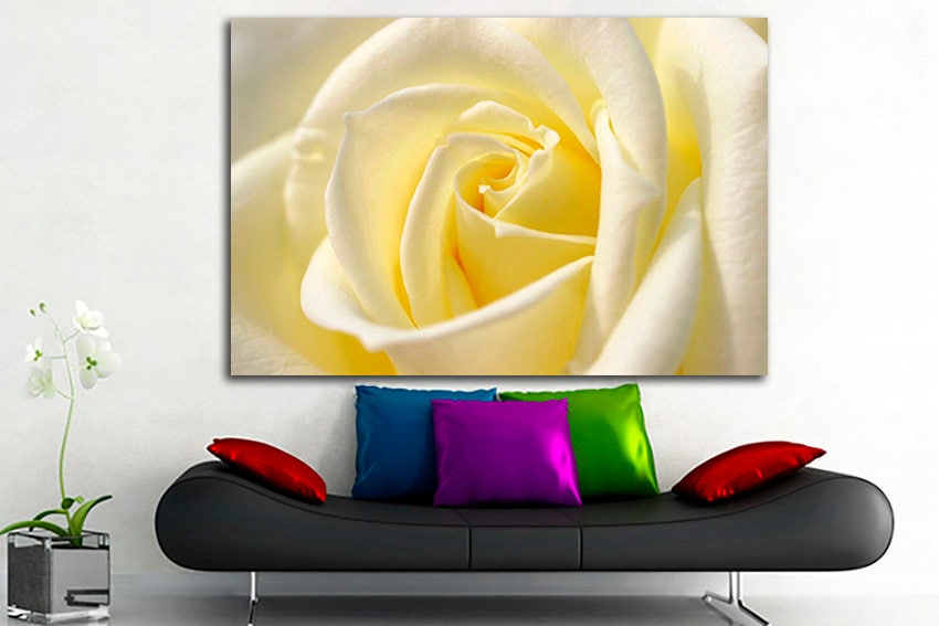 White rose art prints Flowers canvas Floral decor Ready to hang
