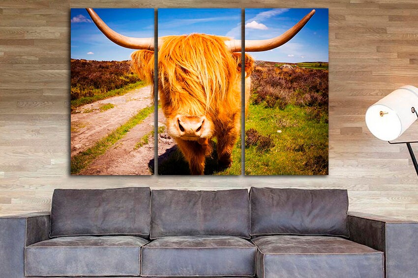 Highland cow print Animals wall art Bull canvas Scottish cow art Gift to man
