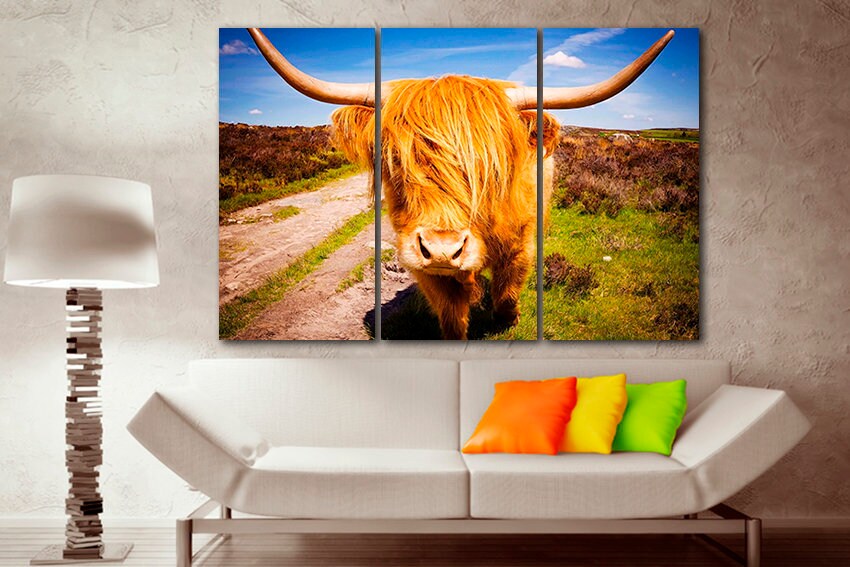 Highland cow print Animals wall art Bull canvas Scottish cow art Gift to man