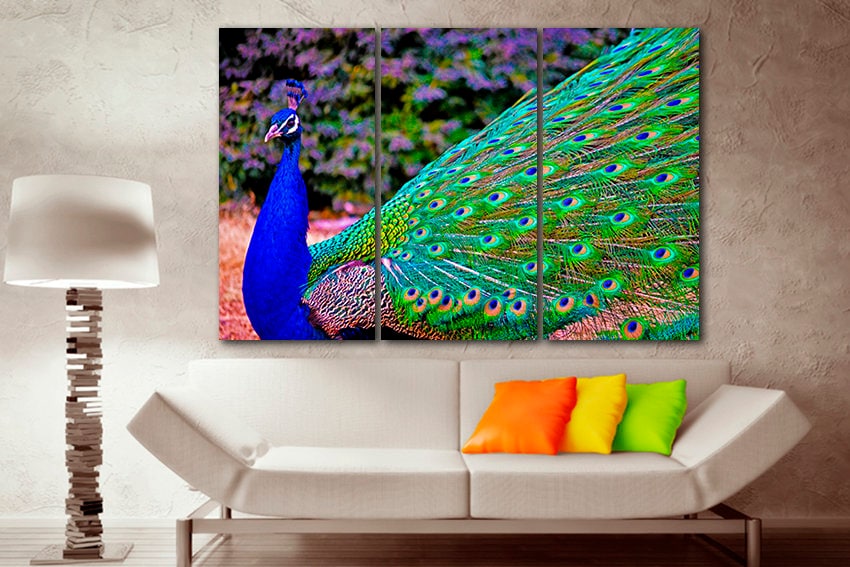 Peacock blue art canvas Peafowl decor Indian peafowl art Gallery wall set Wildlife print Animals photo