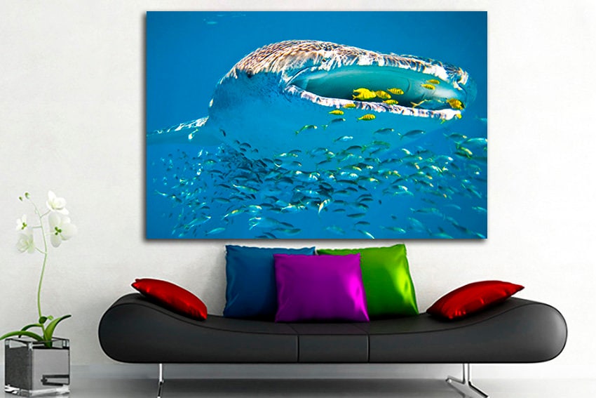 Whale shark Animals art decor Ocean life Fish wall print Shark photo