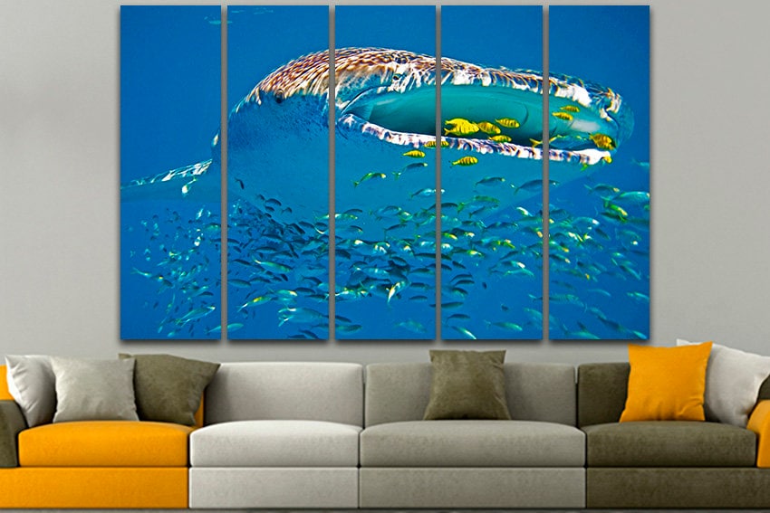 Whale shark Animals art decor Ocean life Fish wall print Shark photo