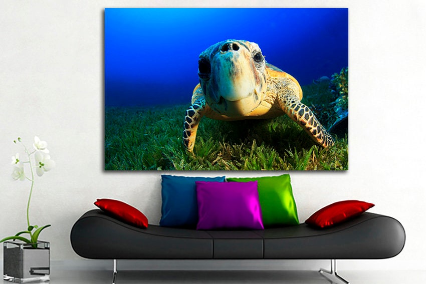 Sea turtle canvas Animals decor Atlantic ocean life Sealife print Nature wall art