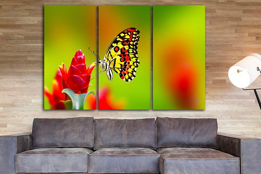 Butterfly Childrens art decor Nature canvas Interior design Animals Flower print