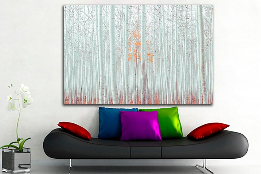 Birch grove art Gallery wall set Forest fall print decor Autumn canvas Nature print