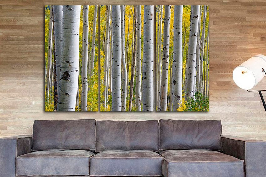 Birch grove print Large canvas art Forest print Nature artwork Landscape decor