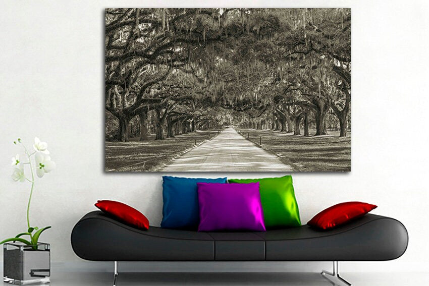 Multi canvas art Oak trees Plantation tree Avenue of oaks Forest home decor South carolina Botany nature art