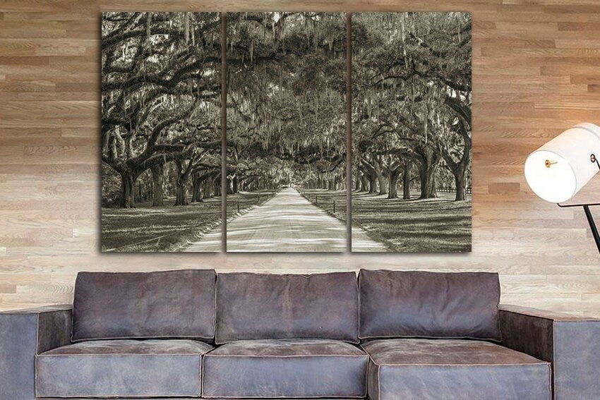 Multi canvas art Oak trees Plantation tree Avenue of oaks Forest home decor South carolina Botany nature art
