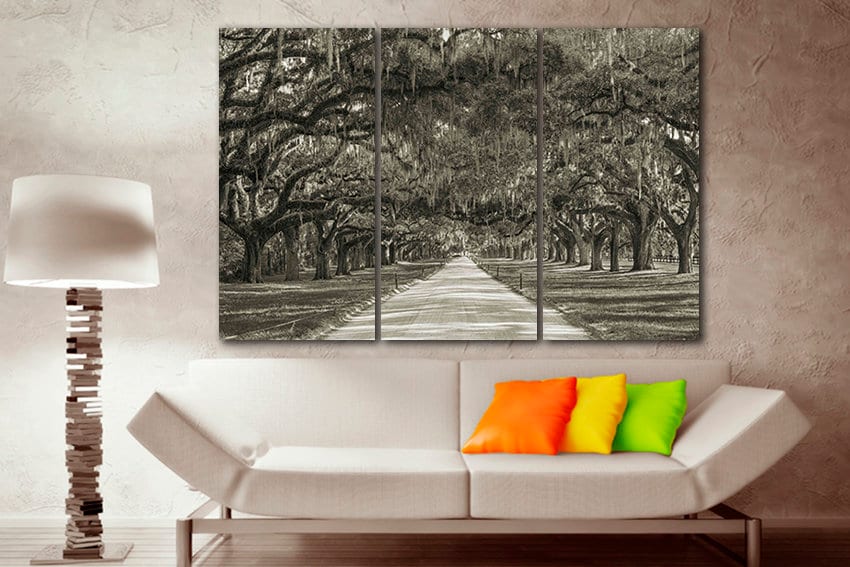 Multi canvas art Oak trees Plantation tree Avenue of oaks Forest home decor South carolina Botany nature art
