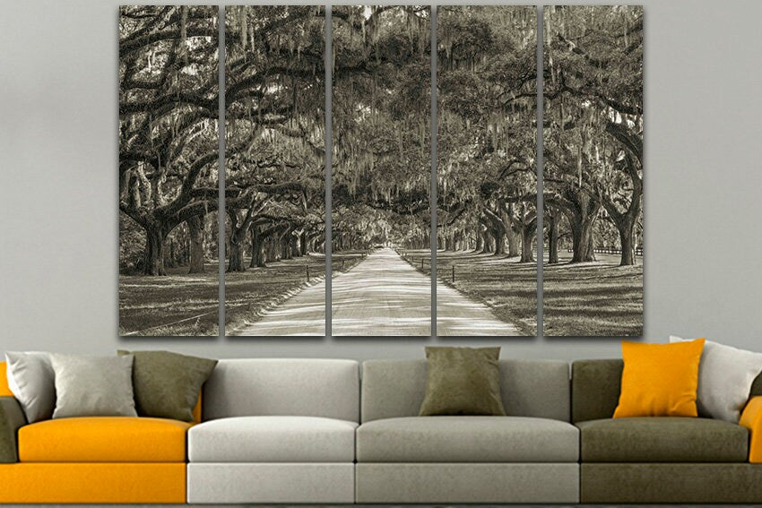 Multi canvas art Oak trees Plantation tree Avenue of oaks Forest home decor South carolina Botany nature art