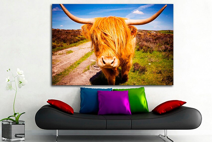 Highland cow print Animals wall art Bull canvas Scottish cow art Gift to man