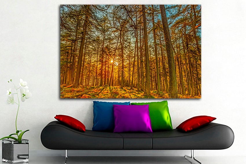 Forest canvas Nature wall art Landscape home print