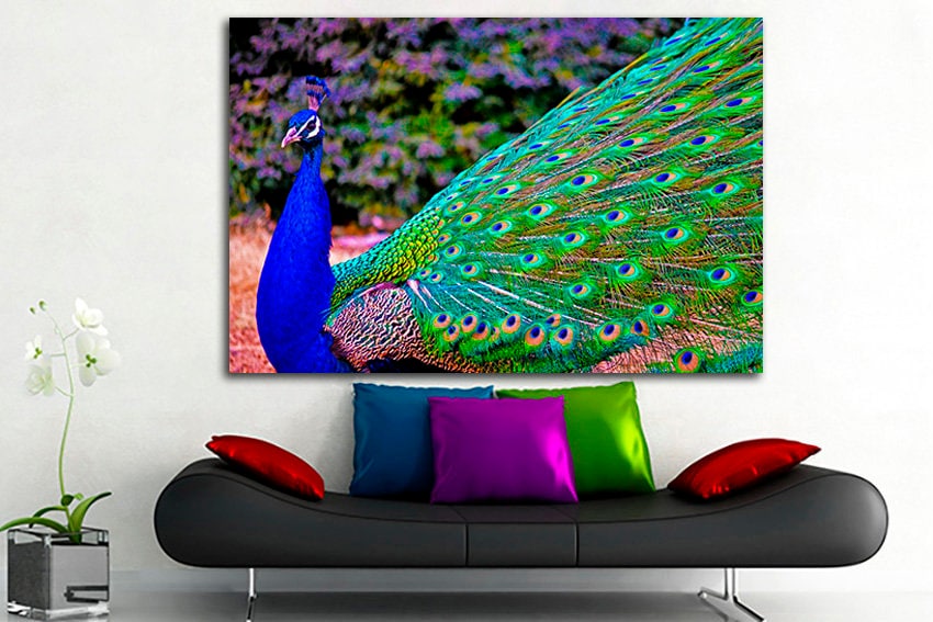 Peacock blue art canvas Peafowl decor Indian peafowl art Gallery wall set Wildlife print Animals photo
