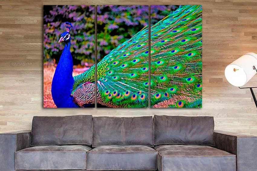 Peacock blue art canvas Peafowl decor Indian peafowl art Gallery wall set Wildlife print Animals photo