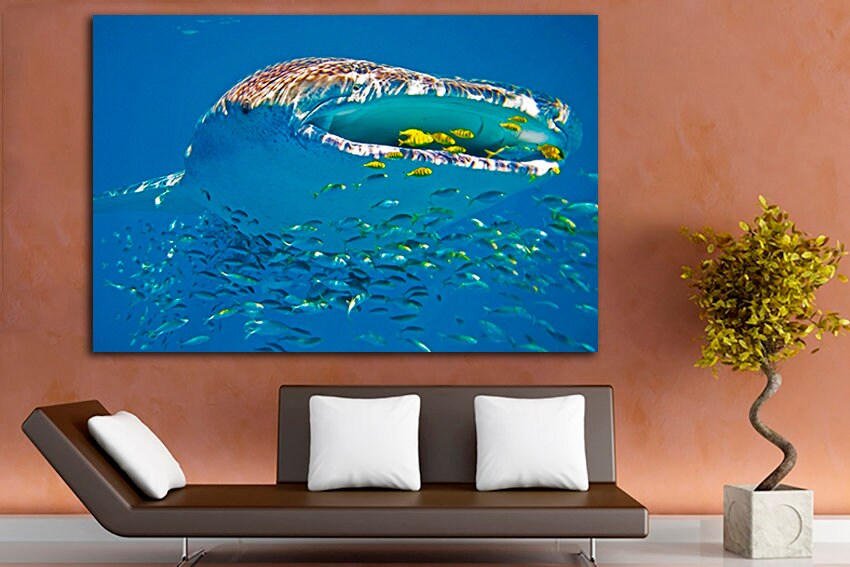 Whale shark Animals art decor Ocean life Fish wall print Shark photo