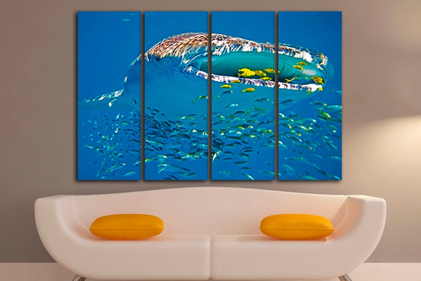 Whale shark Animals art decor Ocean life Fish wall print Shark photo