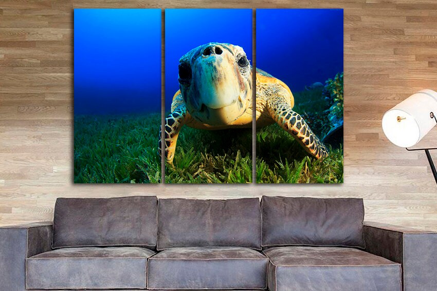 Sea turtle canvas Animals decor Atlantic ocean life Sealife print Nature wall art
