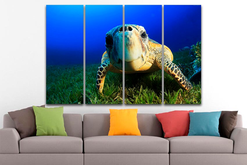 Sea turtle canvas Animals decor Atlantic ocean life Sealife print Nature wall art