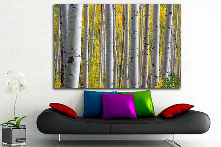 Birch grove print Large canvas art Forest print Nature artwork Landscape decor