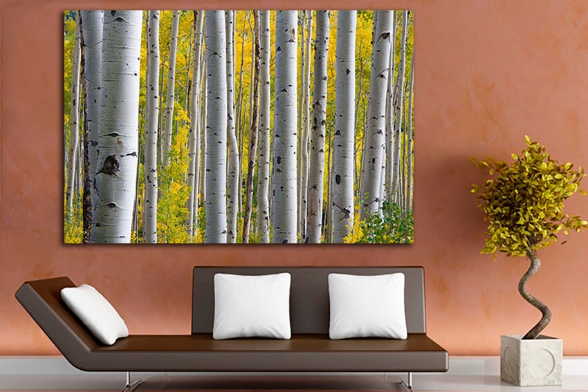 Birch grove print Large canvas art Forest print Nature artwork Landscape decor