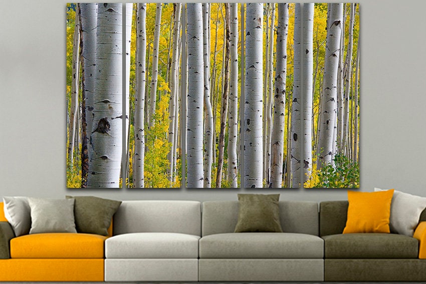 Birch grove print Large canvas art Forest print Nature artwork Landscape decor