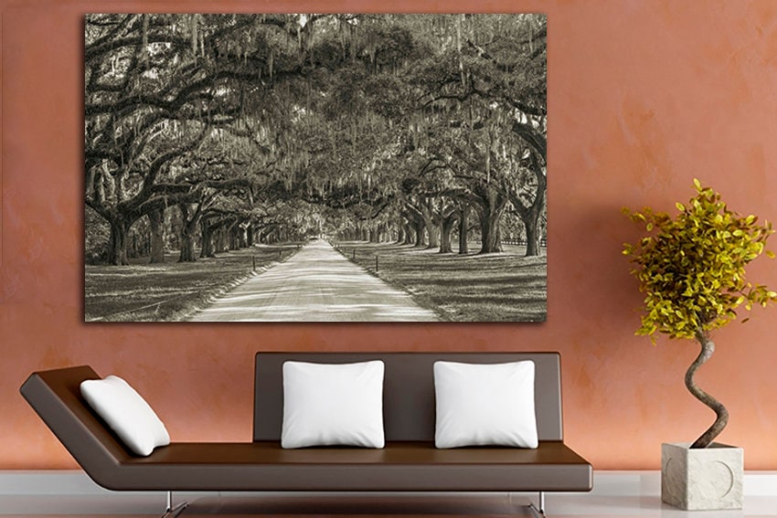 Multi canvas art Oak trees Plantation tree Avenue of oaks Forest home decor South carolina Botany nature art