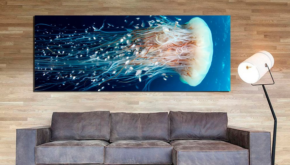 Jellyfish canvas Sea life wall art Animals print Ocean printable Underwater décor Nautical gift Blue white art Sea room décor Ready to hang