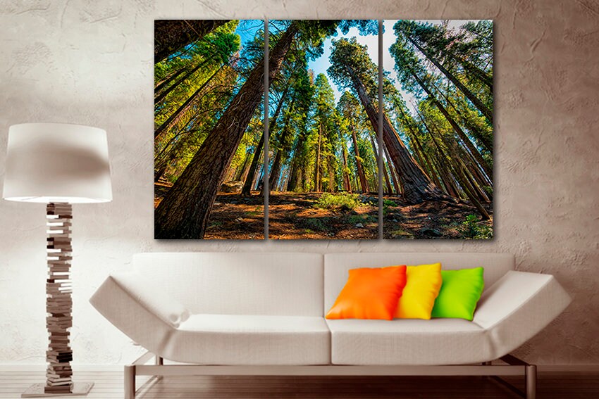 Sequoia wall art Forest canvas Trees décor Kings National Park Redwood Nature home artwork Yosemite